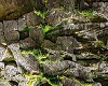 Rock Wall w/ Moss