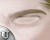 Blond Eyebrow MH☼