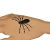 spider araigne