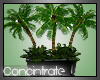 CON| Large Plant- Black