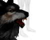 Matth Wolf