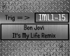 [KM]BJ-ItsMyLife Remix