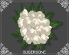 [SC] IvoryBride ~ Flower