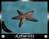 A"Under Sea Starfish
