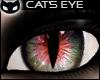 [SIN]Cat's Eye-RedGrey