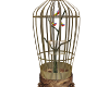 Animated Bird Cage...