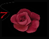 7- red rose