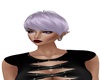 Sibi Lilac
