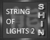 String of Lights 1 x 2