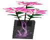 MANDY'S PINK FLOWERS