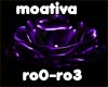purple rose ro0-ro3