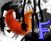 Anyskin DIDDY Tail F