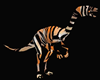 Tiger Stripe Dino Rapter