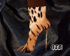 Cheetah Boots