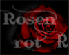 Right side  Rose stiker