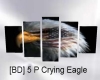 [BD] 5 P Crying Eagle