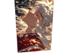 A, Inuyasa 16