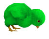 (D)EasterChick(Green)