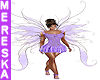 Acacia Puple Fairy