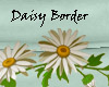 Daisy border