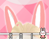 !S_Kawaii Rabbit Ears <3