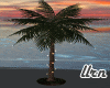 Tiny Lighted Palm tree