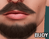 𝗕. Brazilian Beard