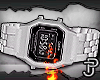 P! 🛒 CASIO SILVER²