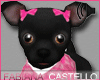 [FC] Black Chihuahua 2