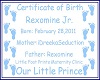 RJ birth Certificate
