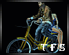 Romantic Bicycle  /GL