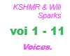 KSHMR / Voices