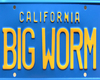 Big Worm Rug