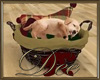 Christmas Puppy