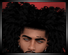 LS~ Drake  Curly Fro