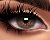 Eyes - L Brown