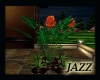 Jazzie-Quad Planter
