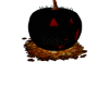 {TR} Pumpkin Cuddle
