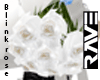 [AZ]:Blink white rose
