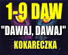 DAWAJ DAWAJ-KOKARDECZKA.
