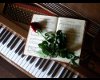 piano beats