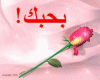 {N}  voice arab love
