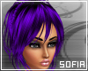 [SOF] Aruto Purple