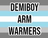 Demiboy arm warmers
