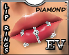 EV Diamond Silver Labret