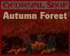 !MS! Medieval Fall Woods