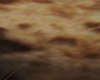 [kyh]Sahara rug