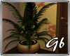 [GB]potted palms