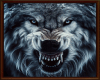 6v3| 🐺