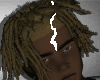 Dz. Moss Locs DB